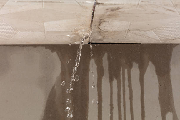 Professional Structural Drying technician working in River Rouge, MI